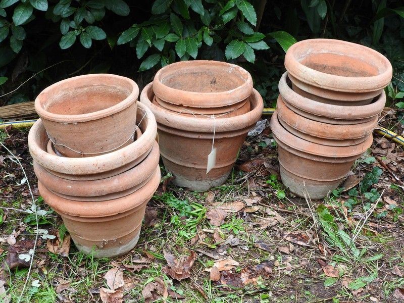 Lotto di Vasi in Terracotta