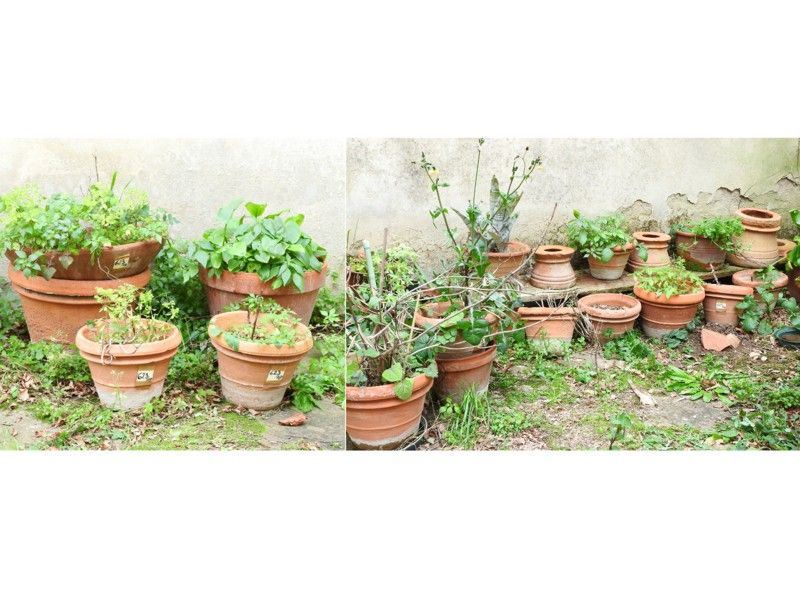 Grande Lotto di Vasi in Terracotta
