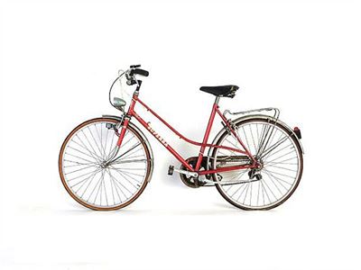 Bicicletta da Passeggio