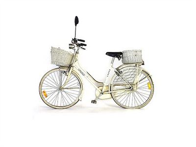 Bicicletta da Passeggio