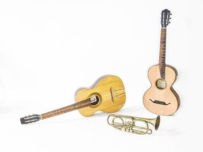 Lotto di Strumenti Musicali