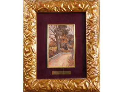 Scorcio di Strada di Campagna