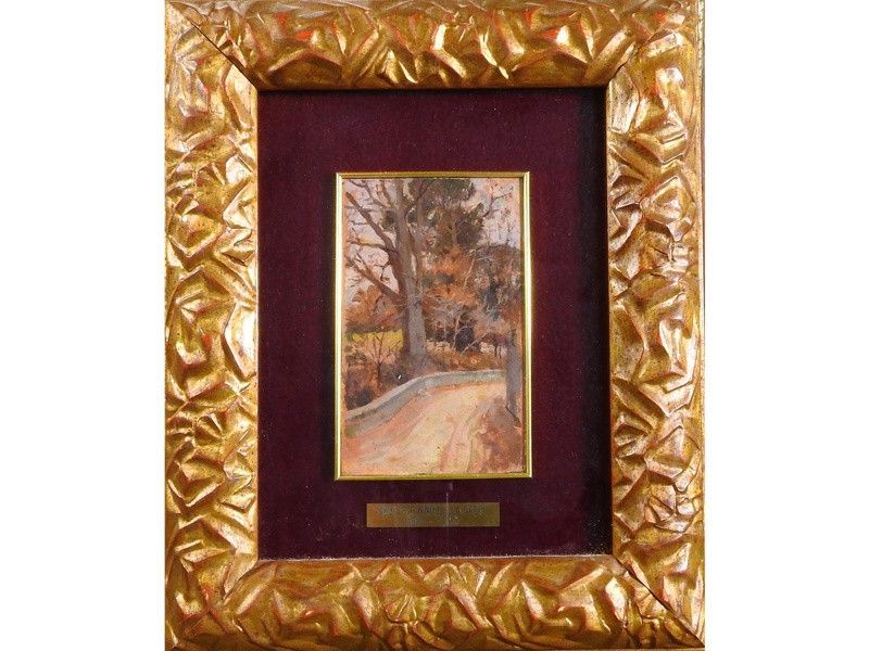Scorcio di Strada di Campagna
