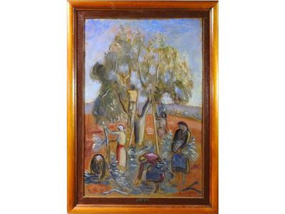 La Potatura del Grande Ulivo