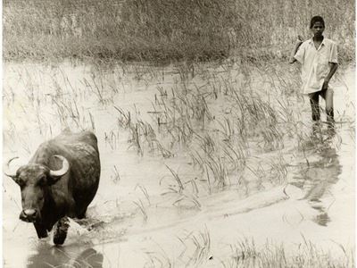 Benares India 1980