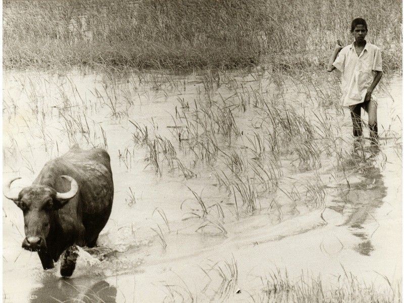 Benares India 1980