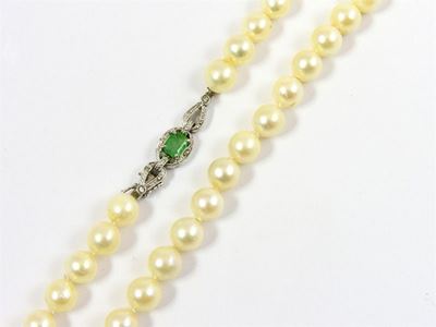 Filo di Perle Akoya