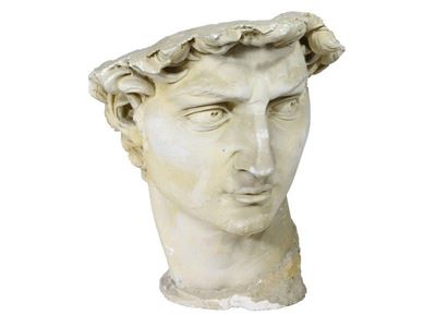 Testa del David di Michelangelo