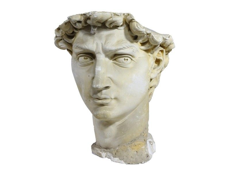 Testa del David di Michelangelo