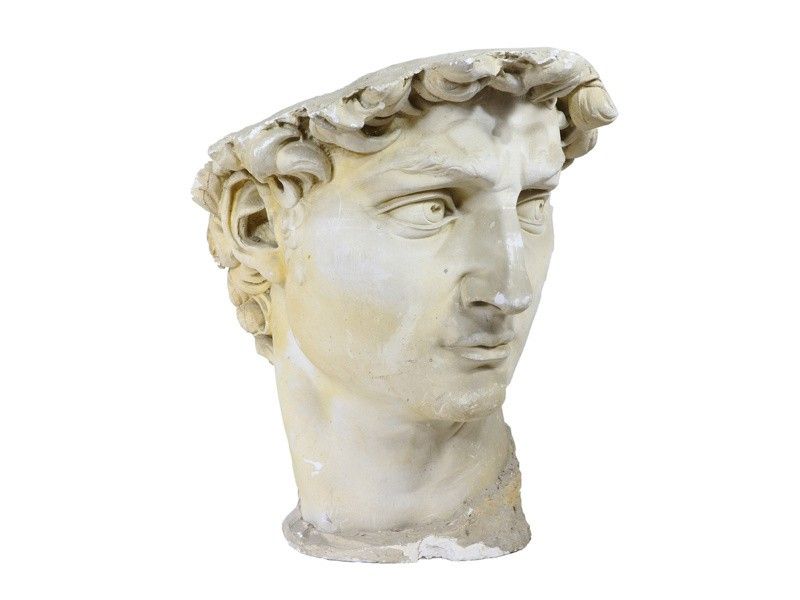 Testa del David di Michelangelo