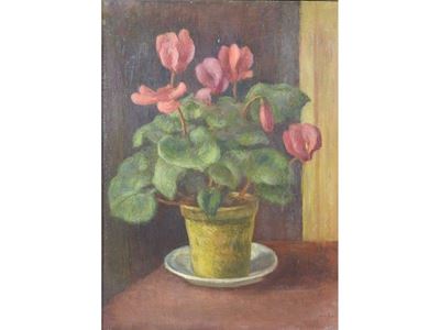Vaso di Ciclamini