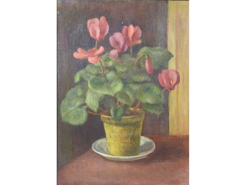 Vaso di Ciclamini