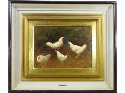 Galline