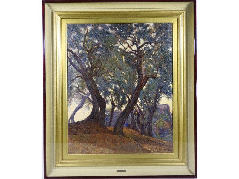 Paesaggio Alberato