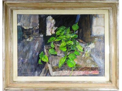 Fiori e Piante nello Studio 1966-7