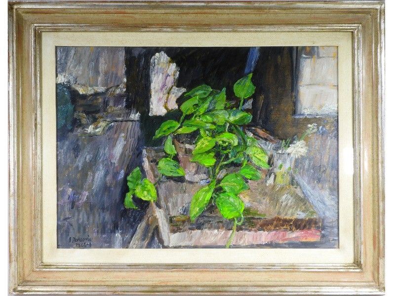 Fiori e Piante nello Studio 1966-7