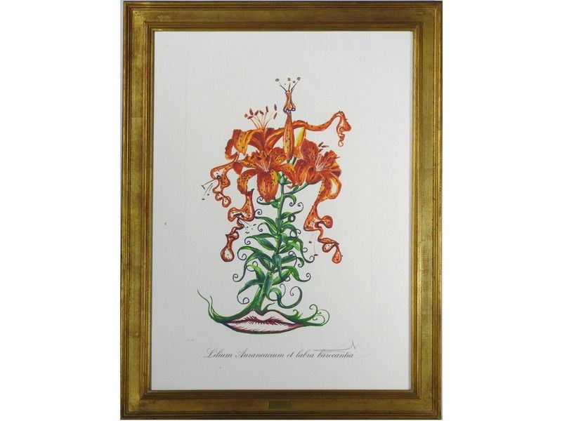 Lilium Aurancacium Et Labra Barocantia