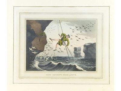 Scene di Caccia