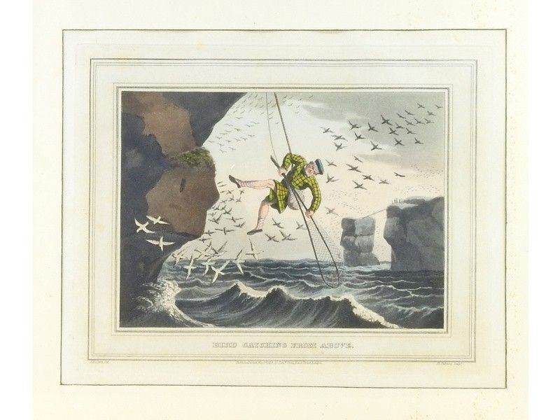 Scene di Caccia