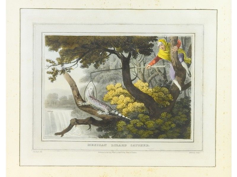 Scene di Caccia