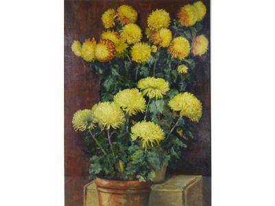 Vasi di Fiori
