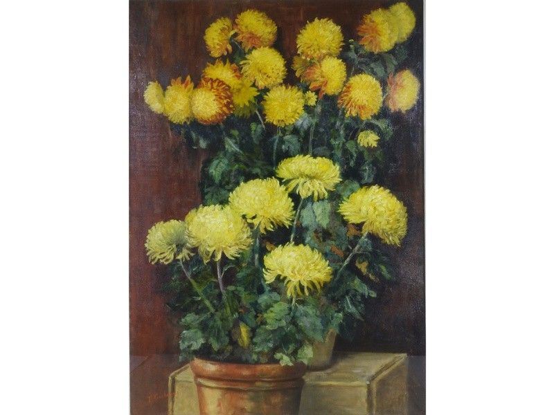 Vasi di Fiori