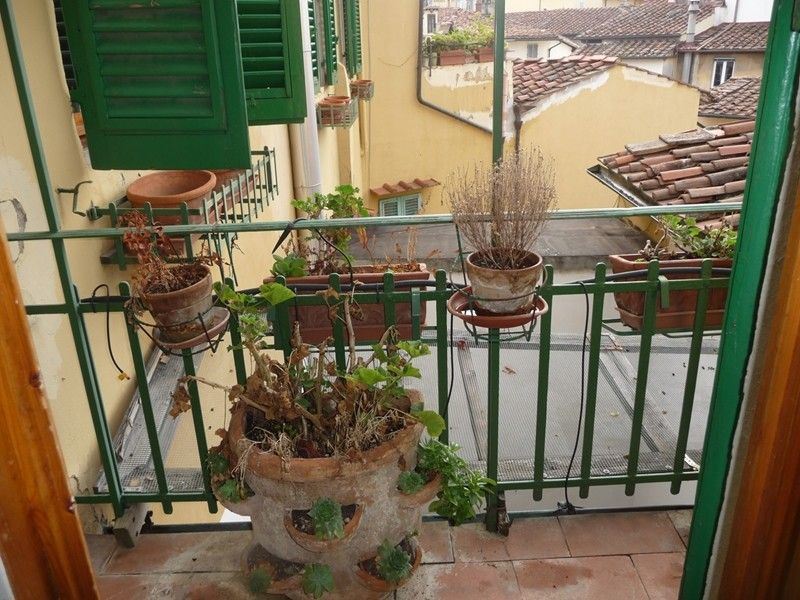 Lotto di Vasi da Giardino in Terracotta